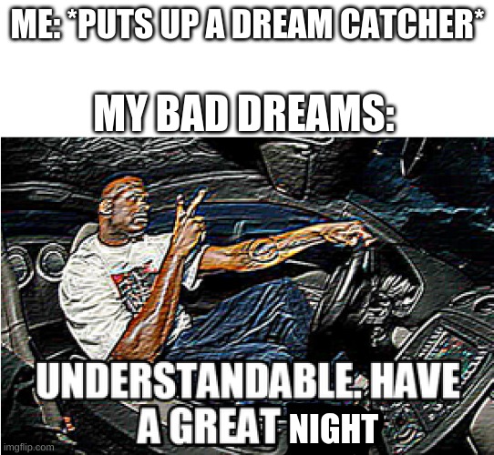UNDERSTANDABLE, HAVE A GREAT DAY | ME: *PUTS UP A DREAM CATCHER*; MY BAD DREAMS:; NIGHT | image tagged in understandable have a great day | made w/ Imgflip meme maker