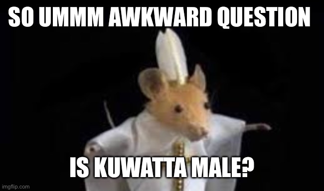 I think I’ve been catfished | SO UMMM AWKWARD QUESTION; IS KUWATTA MALE? | image tagged in dorime | made w/ Imgflip meme maker