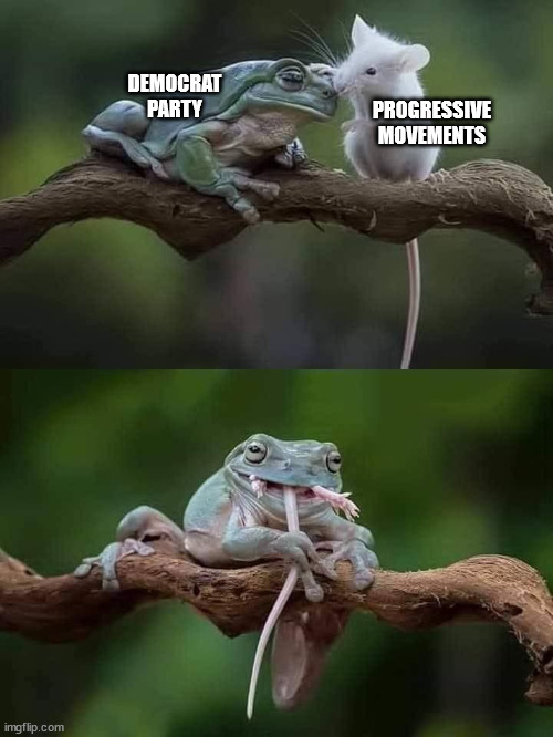The Democrat Party is the graveyard of progressive movements | DEMOCRAT PARTY; PROGRESSIVE MOVEMENTS | image tagged in democratic party,progressives | made w/ Imgflip meme maker