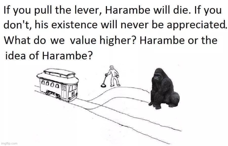 Oof | image tagged in harambe trolley problem | made w/ Imgflip meme maker