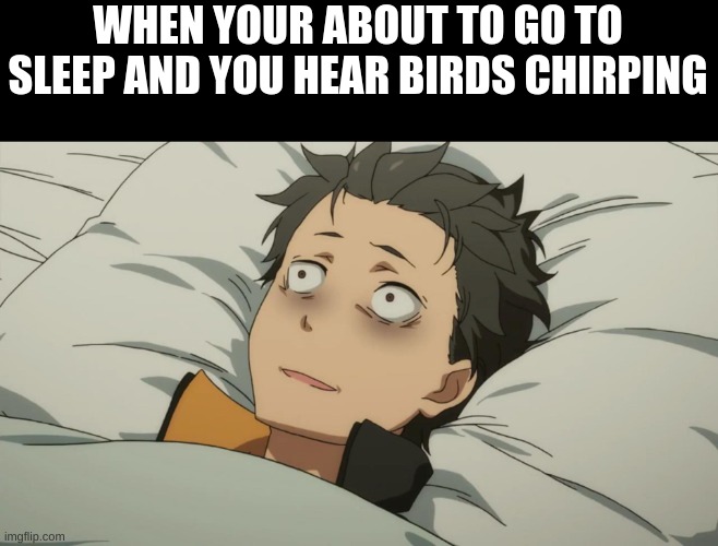 re:zero subaru | WHEN YOUR ABOUT TO GO TO SLEEP AND YOU HEAR BIRDS CHIRPING | image tagged in re zero subaru | made w/ Imgflip meme maker