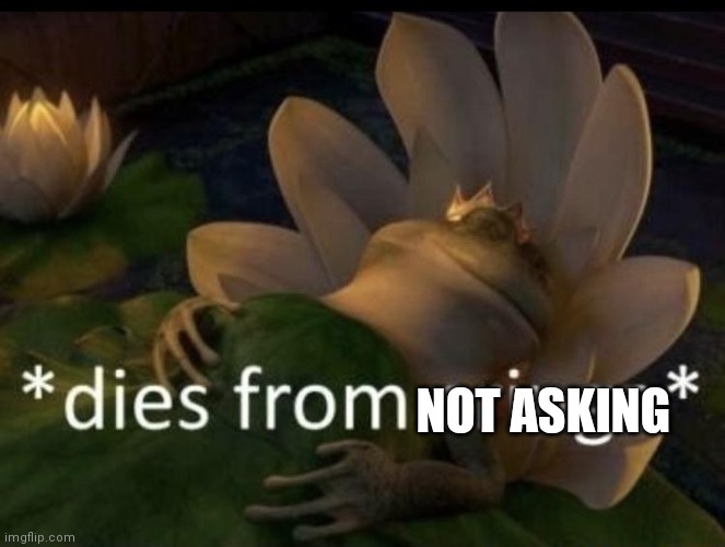 Dies from cringe | NOT ASKING | image tagged in dies from cringe | made w/ Imgflip meme maker