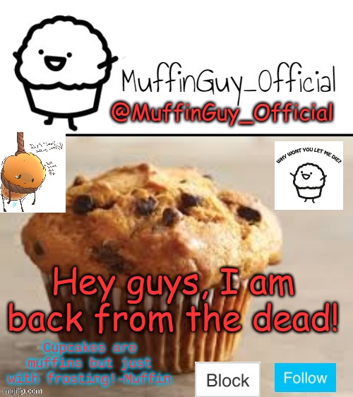 hey | Hey guys, I am back from the dead! | image tagged in muffinguy_official's template | made w/ Imgflip meme maker