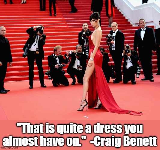 Bella Hadid | "That is quite a dress you almost have on."  -Craig Benett | image tagged in quotes,famous quotes | made w/ Imgflip meme maker