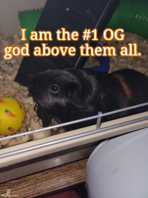 I am the #1 OG god above them all. | made w/ Imgflip meme maker