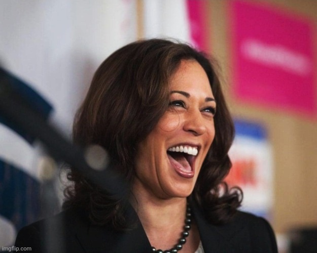 cackling kamala harris | image tagged in cackling kamala harris | made w/ Imgflip meme maker