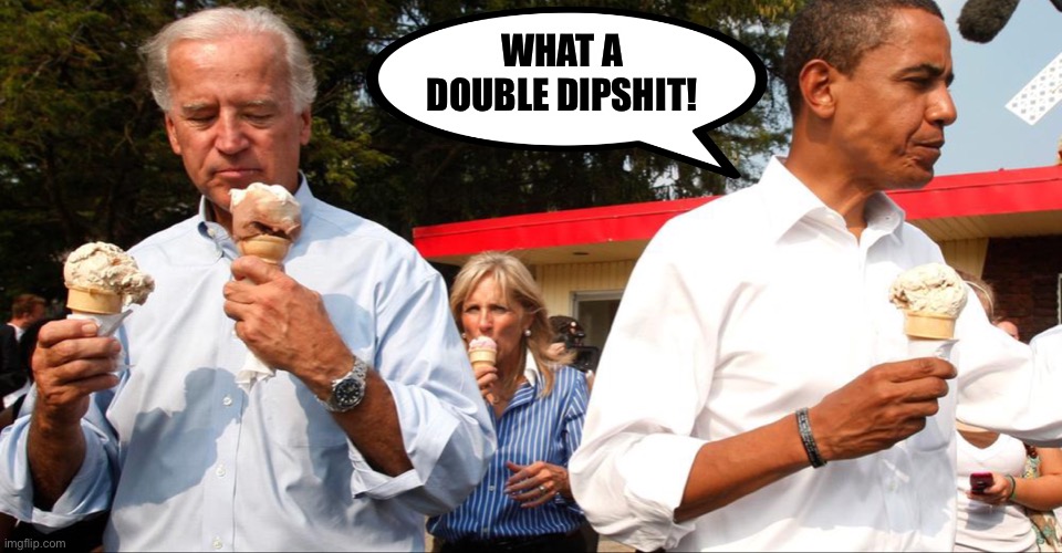 Joe two Scoops | WHAT A DOUBLE DIPSHIT! | image tagged in joe two scoops | made w/ Imgflip meme maker