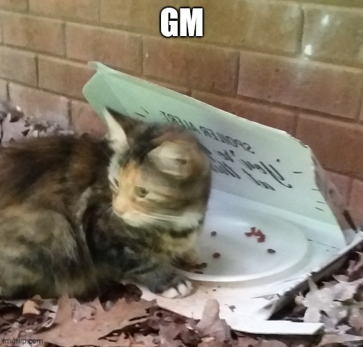 Good morning | GM | image tagged in coca | made w/ Imgflip meme maker