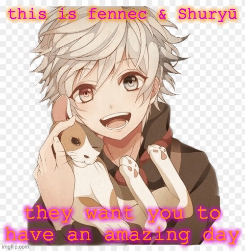 Fennec is the human, have a good day y'all <3 |  this is fennec & Shuryū; they want you to have an amazing day | image tagged in cat,have a good day | made w/ Imgflip meme maker