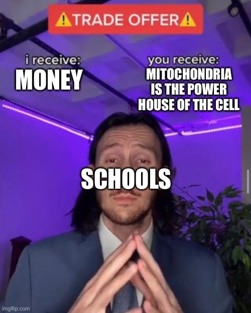 MONEYS | MITOCHONDRIA IS THE POWER HOUSE OF THE CELL; MONEY; SCHOOLS | image tagged in i receive you receive | made w/ Imgflip meme maker