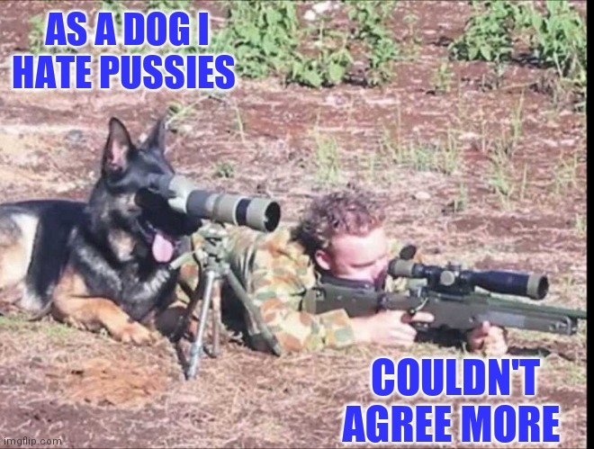 AS A DOG I HATE PUSSIES COULDN'T AGREE MORE | made w/ Imgflip meme maker
