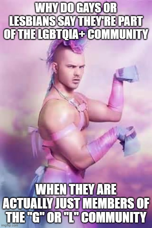 Gay Unicorn | WHY DO GAYS OR LESBIANS SAY THEY'RE PART OF THE LGBTQIA+ COMMUNITY; WHEN THEY ARE ACTUALLY JUST MEMBERS OF THE "G" OR "L" COMMUNITY | image tagged in gay unicorn | made w/ Imgflip meme maker