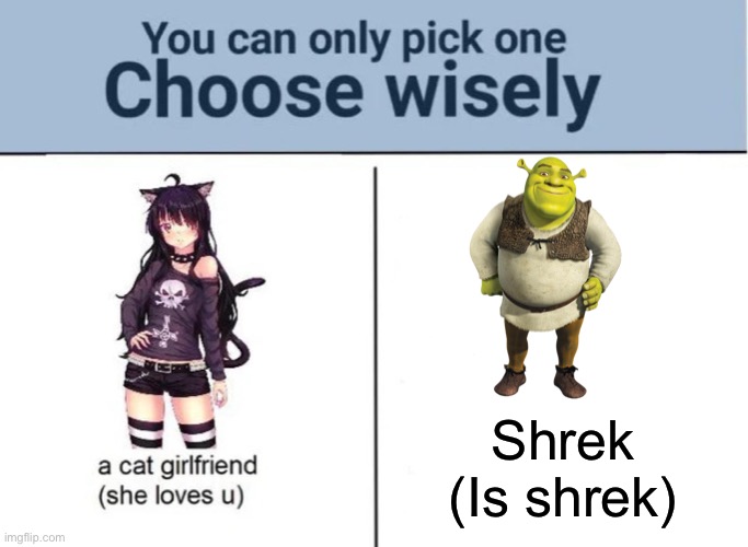 It’s obvious | Shrek
(Is shrek) | image tagged in choose wisely,shrek,very funny | made w/ Imgflip meme maker
