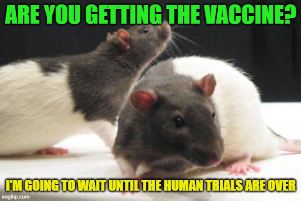 Lab rats | ARE YOU GETTING THE VACCINE? I'M GOING TO WAIT UNTIL THE HUMAN TRIALS ARE OVER | image tagged in labrats,covid-19,vaccine | made w/ Imgflip meme maker