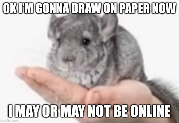 Chincilla | OK I’M GONNA DRAW ON PAPER NOW; I MAY OR MAY NOT BE ONLINE | image tagged in chincilla | made w/ Imgflip meme maker