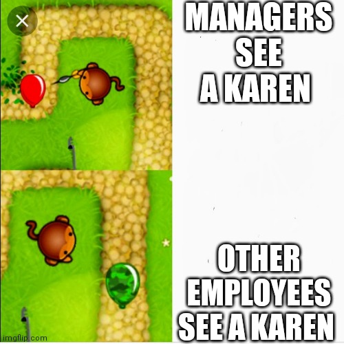 Dart monkey vs x |  MANAGERS SEE A KAREN; OTHER EMPLOYEES SEE A KAREN | image tagged in dart monkey vs x | made w/ Imgflip meme maker