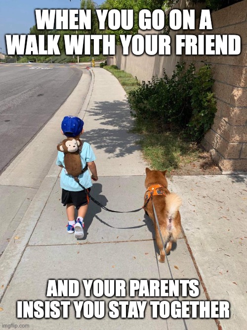 Parent rules |  WHEN YOU GO ON A WALK WITH YOUR FRIEND; AND YOUR PARENTS INSIST YOU STAY TOGETHER | image tagged in parent rules,stay together,funny memes | made w/ Imgflip meme maker