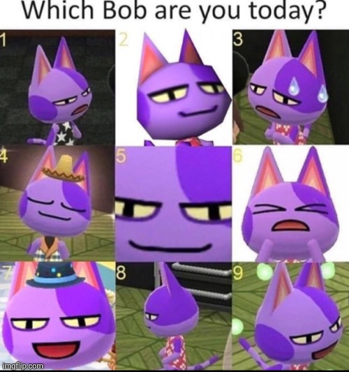 Bob | made w/ Imgflip meme maker