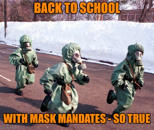 WITH MASK MANDATES - SO TRUE | made w/ Imgflip meme maker