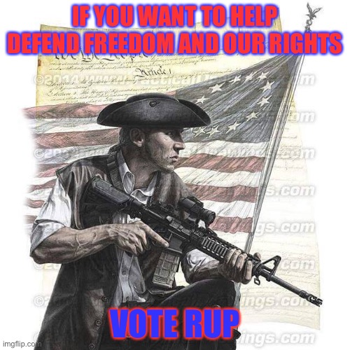 Let’s rally for Liberty and our God-given rights! Vote RUP! | IF YOU WANT TO HELP DEFEND FREEDOM AND OUR RIGHTS; VOTE RUP | image tagged in american patriot | made w/ Imgflip meme maker