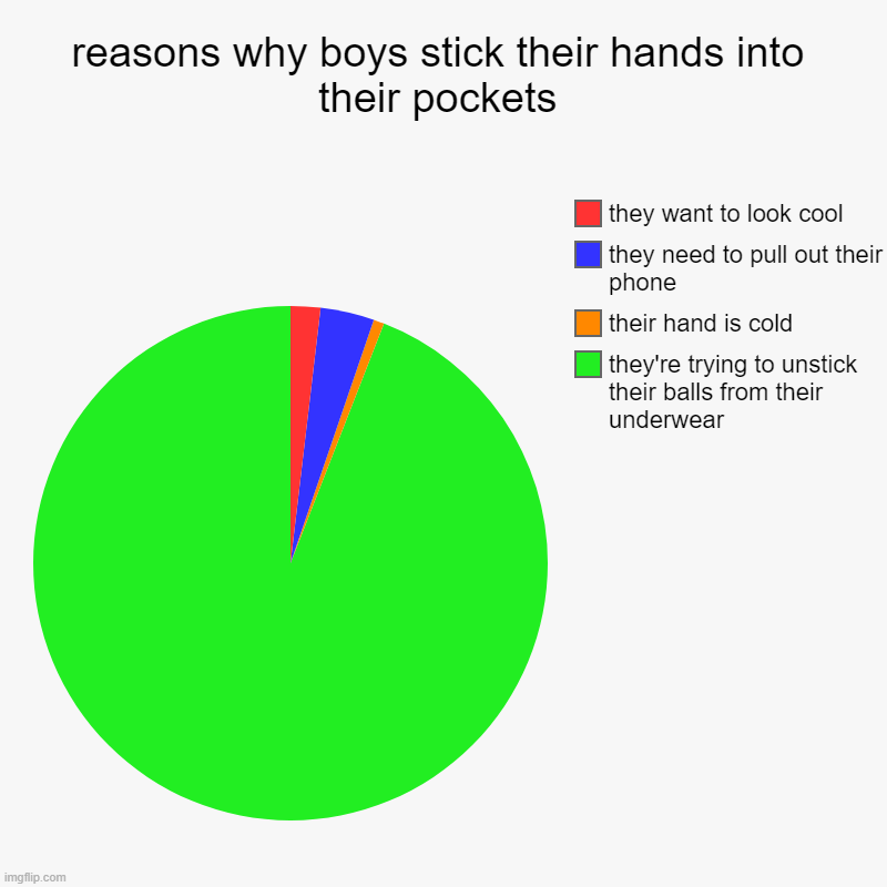 boys can relate | reasons why boys stick their hands into their pockets | they're trying to unstick their balls from their underwear, their hand is cold, they | image tagged in charts,pie charts | made w/ Imgflip chart maker