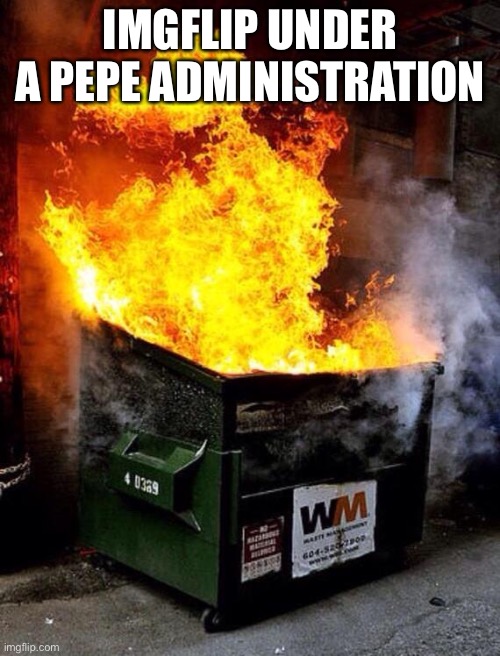 Dumpster Fire | IMGFLIP UNDER A PEPE ADMINISTRATION | image tagged in dumpster fire | made w/ Imgflip meme maker