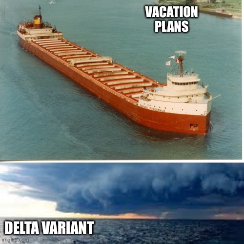 Covid Fitzgerald | VACATION PLANS; DELTA VARIANT | image tagged in funny memes,covid-19,deltavariant | made w/ Imgflip meme maker