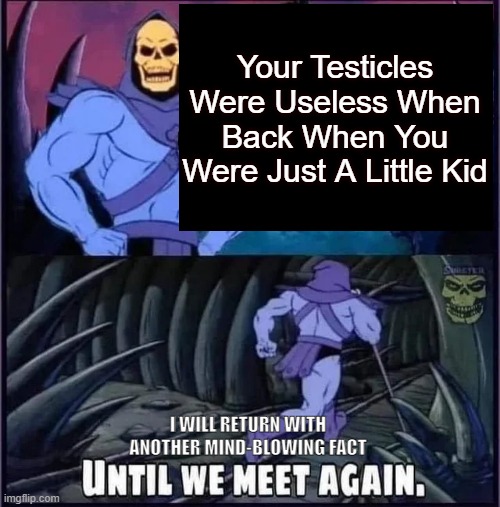 IWhat | Your Testicles Were Useless When Back When You Were Just A Little Kid; I WILL RETURN WITH ANOTHER MIND-BLOWING FACT | image tagged in until we meet again | made w/ Imgflip meme maker