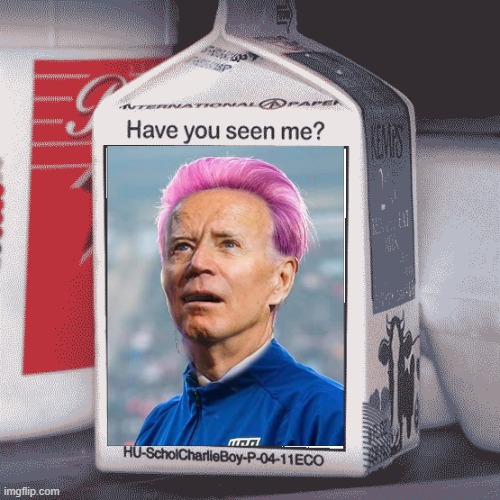 Have you seen me? | image tagged in missing person,joe biden | made w/ Imgflip meme maker
