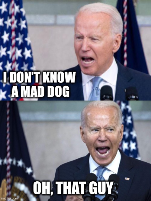 Bad Pun Joe | I DON’T KNOW 
A MAD DOG OH, THAT GUY | image tagged in bad pun joe | made w/ Imgflip meme maker