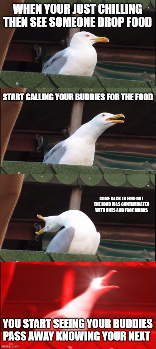 Inhaling Seagull Meme | WHEN YOUR JUST CHILLING THEN SEE SOMEONE DROP FOOD; START CALLING YOUR BUDDIES FOR THE FOOD; COME BACK TO FIND OUT THE FOOD WAS CONTAMINATED WITH ANTS AND FOOT MARKS; YOU START SEEING YOUR BUDDIES PASS AWAY KNOWING YOUR NEXT | image tagged in memes,inhaling seagull | made w/ Imgflip meme maker