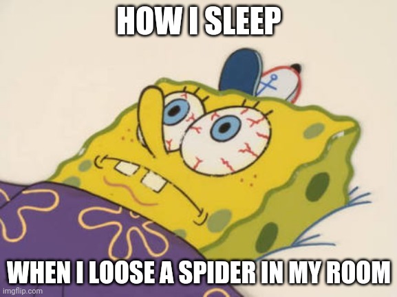 SpongeBob awake | HOW I SLEEP; WHEN I LOOSE A SPIDER IN MY ROOM | image tagged in spongebob awake | made w/ Imgflip meme maker