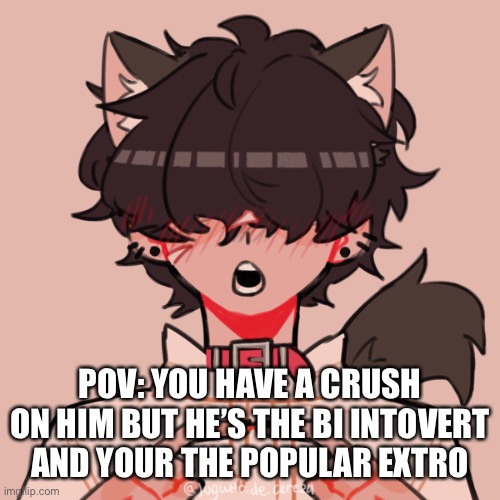 Ages 15-17 please | POV: YOU HAVE A CRUSH ON HIM BUT HE’S THE BI INTOVERT AND YOUR THE POPULAR EXTROVERT | image tagged in bean oc skyler | made w/ Imgflip meme maker