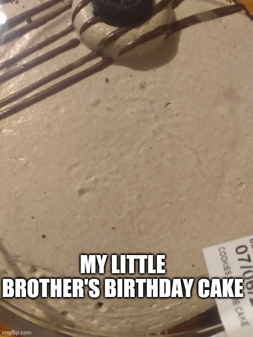 Half cake | MY LITTLE BROTHER'S BIRTHDAY CAKE | image tagged in half cake | made w/ Imgflip meme maker