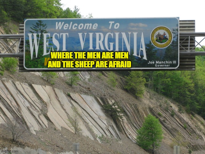 west virginia | WHERE THE MEN ARE MEN AND THE SHEEP ARE AFRAID | image tagged in west virginia | made w/ Imgflip meme maker
