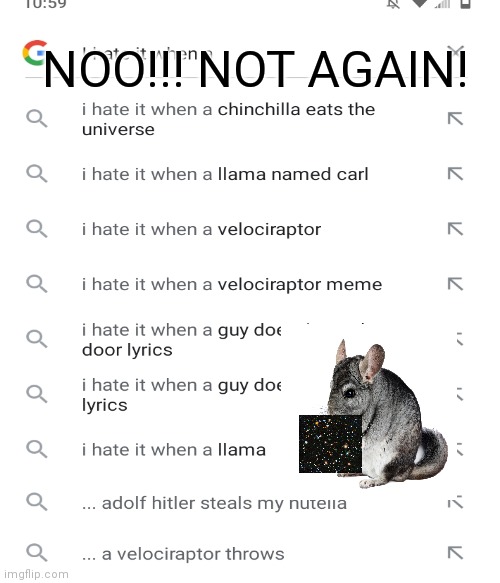 Chinchilla eats the universe | NOO!!! NOT AGAIN! | image tagged in google search | made w/ Imgflip meme maker