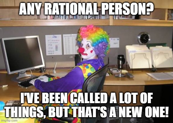 clown computer | ANY RATIONAL PERSON? I'VE BEEN CALLED A LOT OF THINGS, BUT THAT'S A NEW ONE! | image tagged in clown computer | made w/ Imgflip meme maker