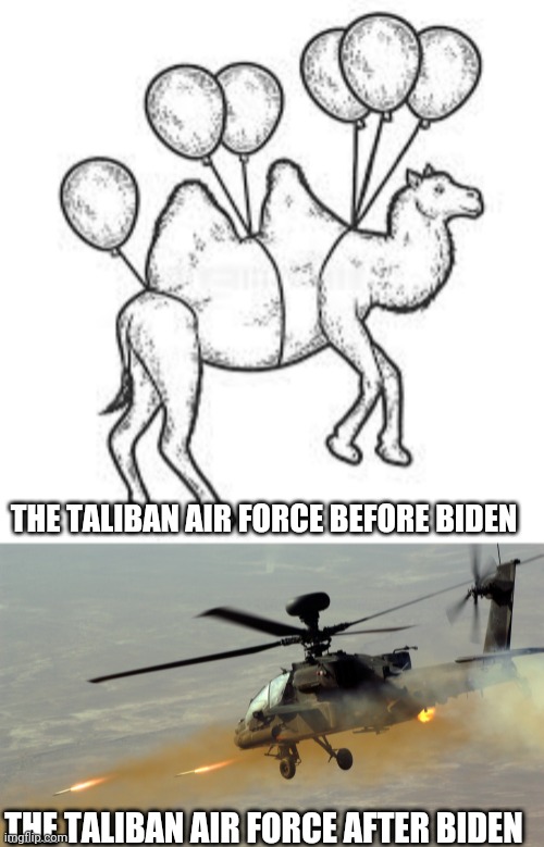 Upgrade | THE TALIBAN AIR FORCE BEFORE BIDEN; THE TALIBAN AIR FORCE AFTER BIDEN | image tagged in camel,attack helicopter | made w/ Imgflip meme maker