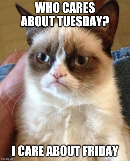 Tuesday | WHO CARES ABOUT TUESDAY? I CARE ABOUT FRIDAY | image tagged in memes,grumpy cat | made w/ Imgflip meme maker