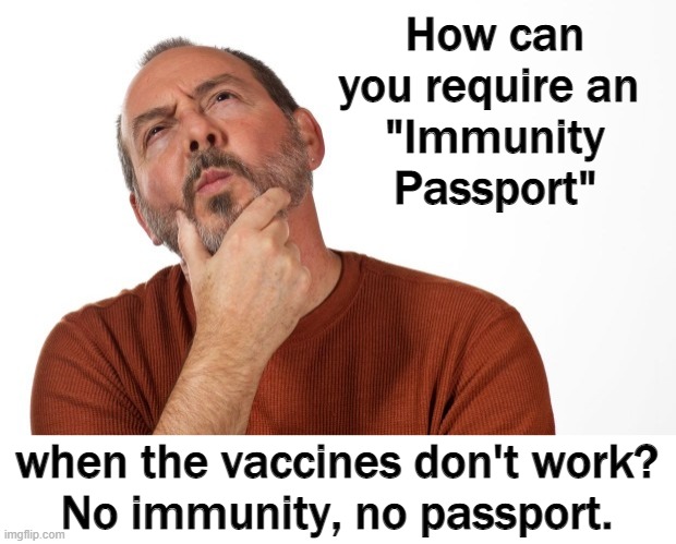 It's not about your health, it's about a NWO globalist tyranny. |  How can you require an 
"Immunity Passport"; when the vaccines don't work?
No immunity, no passport. | image tagged in vaccines,big brother,new world order,genocide | made w/ Imgflip meme maker