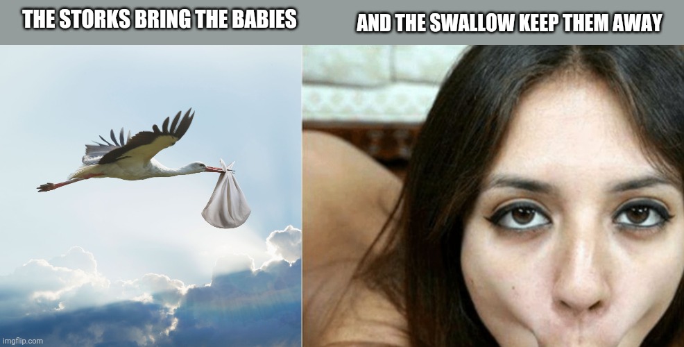 Stork n swallow | AND THE SWALLOW KEEP THEM AWAY; THE STORKS BRING THE BABIES | image tagged in stork,face suck | made w/ Imgflip meme maker