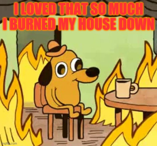 Its fine | I LOVED THAT SO MUCH I BURNED MY HOUSE DOWN | image tagged in its fine | made w/ Imgflip meme maker