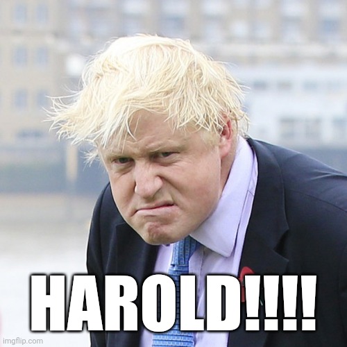 Angry Boris | HAROLD!!!! | image tagged in angry boris | made w/ Imgflip meme maker