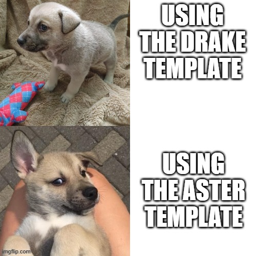 USING THE DRAKE TEMPLATE; USING THE ASTER TEMPLATE | image tagged in puppy,pupper,woof | made w/ Imgflip meme maker