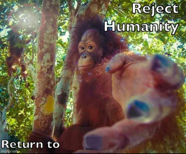 Reject Humanity Return to Monke | image tagged in reject humanity return to monke | made w/ Imgflip meme maker