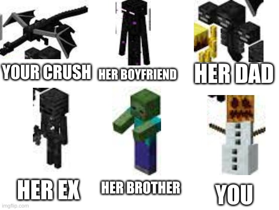 minecraft meme | HER DAD; HER BOYFRIEND; YOUR CRUSH; HER BROTHER; HER EX; YOU | image tagged in blank white template,crush,minecraft,videogame,video games,comparison | made w/ Imgflip meme maker