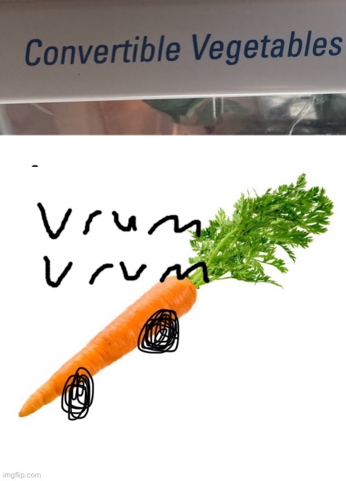Vrum vrum | image tagged in memes,carrot | made w/ Imgflip meme maker