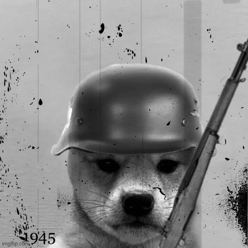 Trench Dawg | image tagged in trenches,gun,dog,wif hat | made w/ Imgflip meme maker