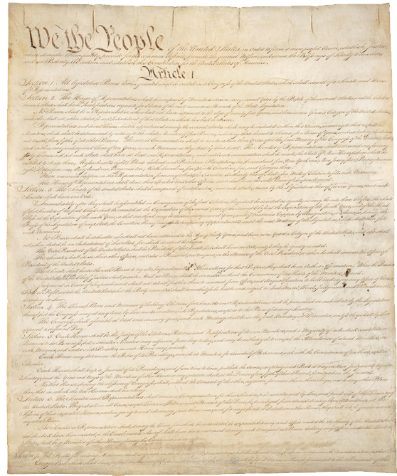 The Constitution Blank Meme Template