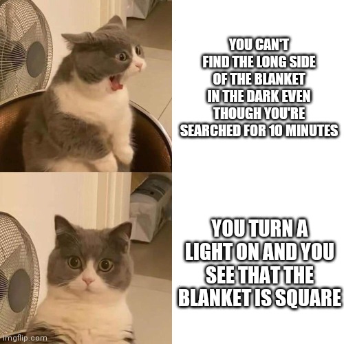 Imagine I typed something creative | YOU CAN'T FIND THE LONG SIDE OF THE BLANKET IN THE DARK EVEN THOUGH YOU'RE SEARCHED FOR 10 MINUTES; YOU TURN A LIGHT ON AND YOU SEE THAT THE BLANKET IS SQUARE | image tagged in cat | made w/ Imgflip meme maker